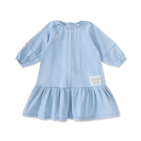 Chambray Days Long Sleeve Denim Dress 003