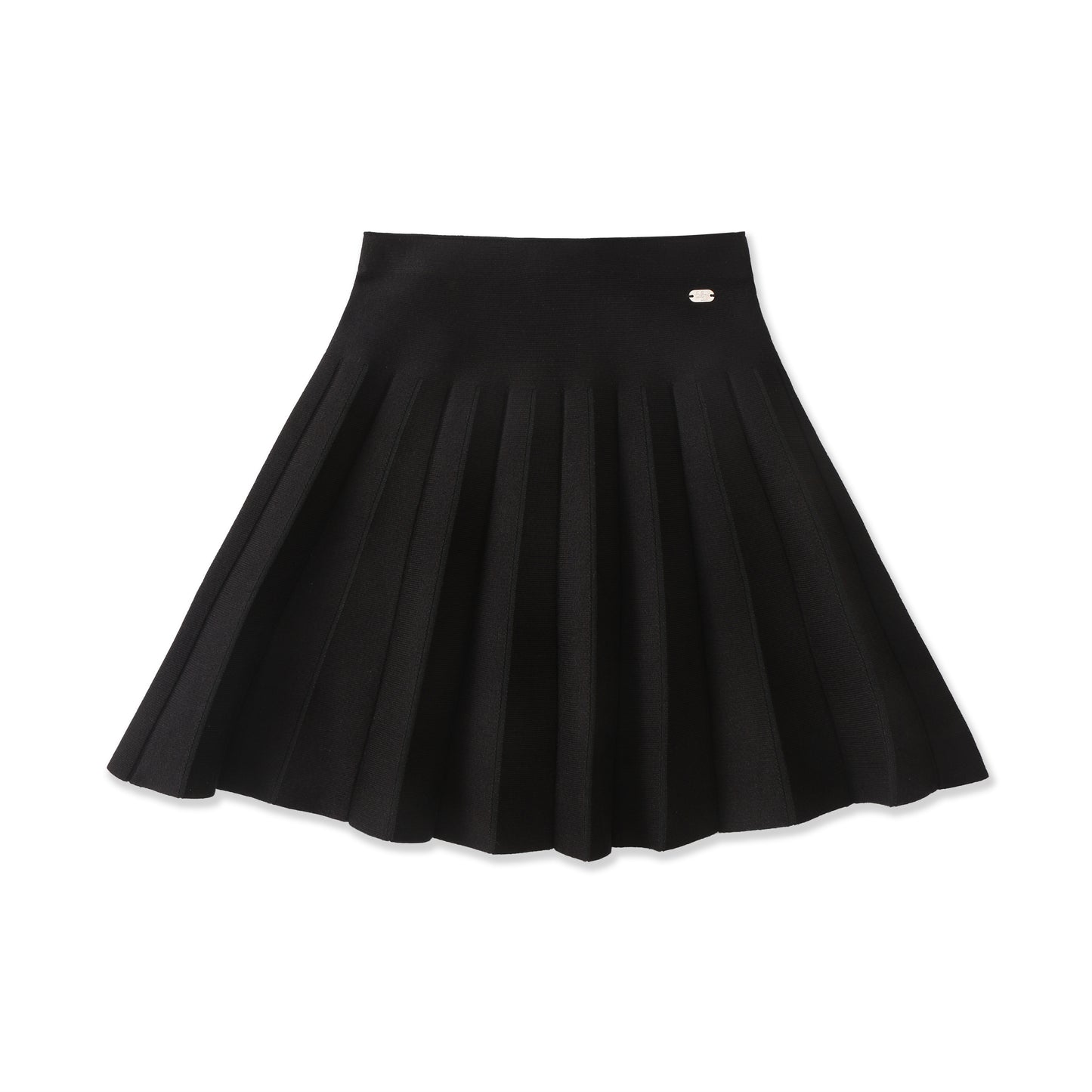 Classic Fine Pleated Knit Skirt 37011