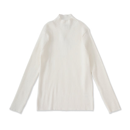 Ribbed Turtleneck 37038