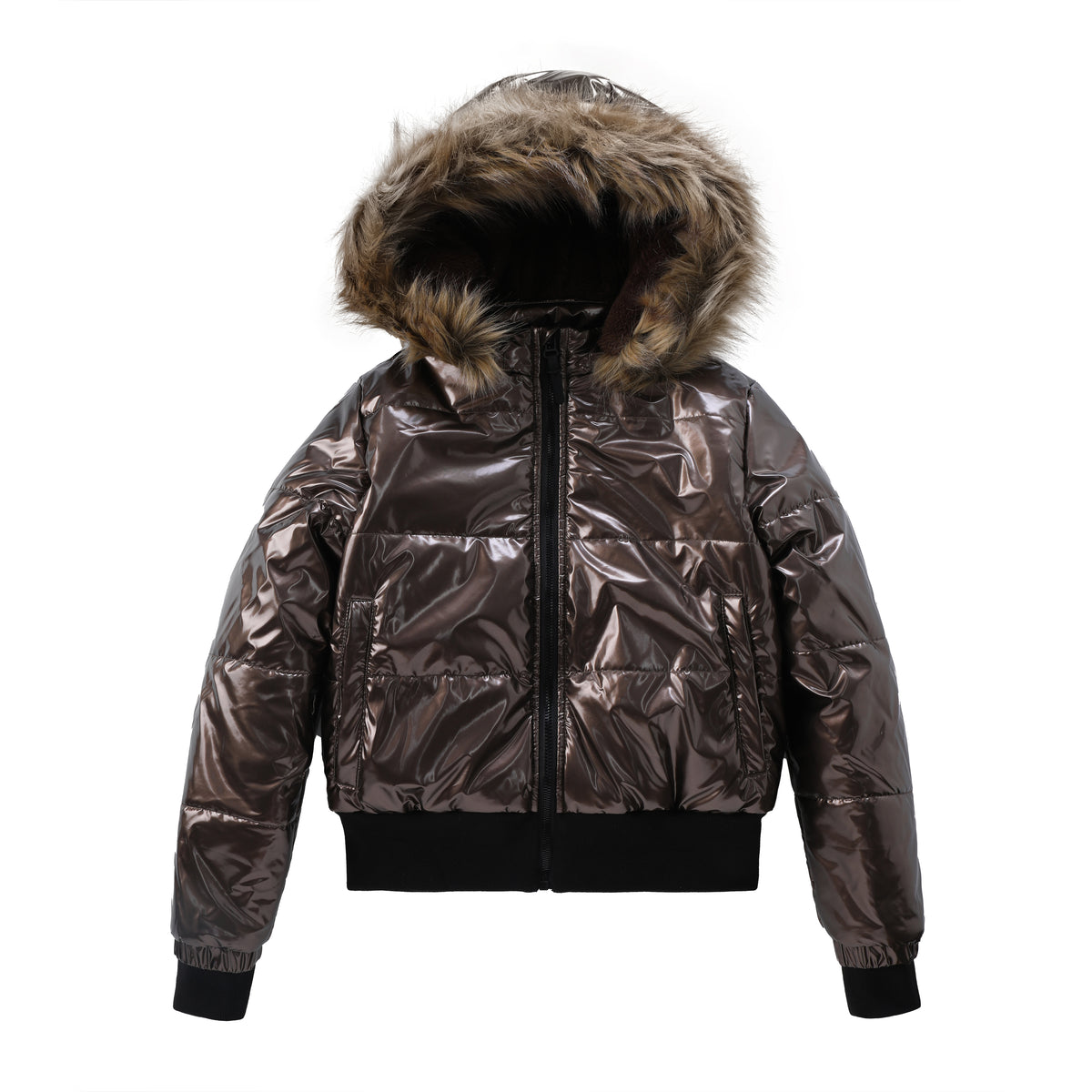 Glossy Coat 87082